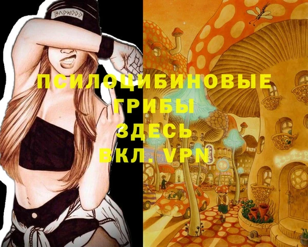a pvp Алексеевка