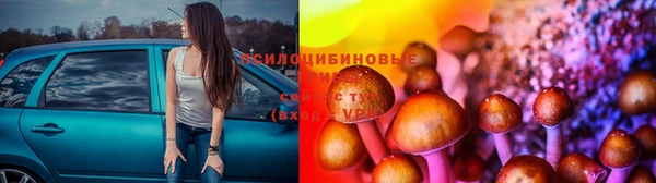 прущие крисы Алексин