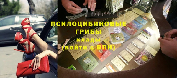 а пвп мука Алзамай