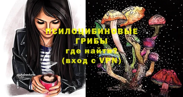 а пвп мука Алзамай