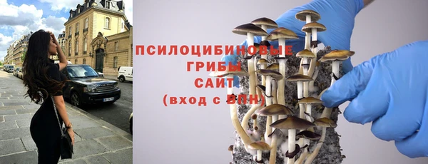 прущие крисы Алексин