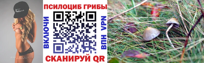 Псилоцибиновые грибы мицелий Красноуфимск